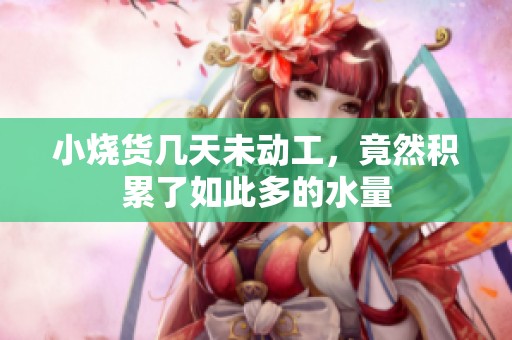 小烧货几天未动工，竟然积累了如此多的水量