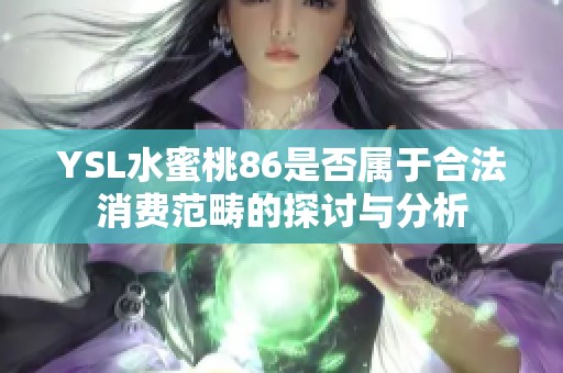 YSL水蜜桃86是否属于合法消费范畴的探讨与分析