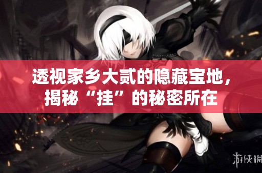 透视家乡大贰的隐藏宝地，揭秘“挂”的秘密所在