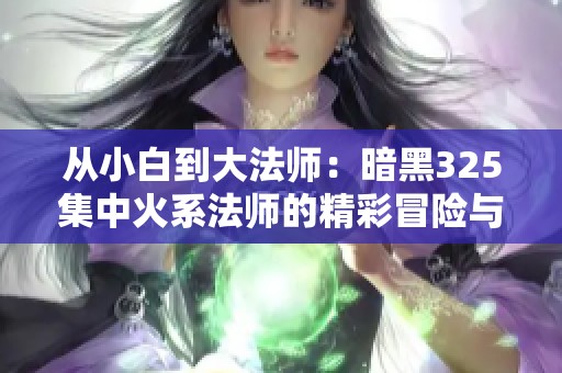 从小白到大法师：暗黑325集中火系法师的精彩冒险与无奈挑战