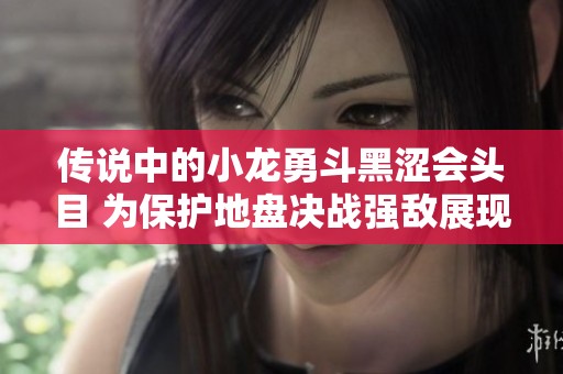 传说中的小龙勇斗黑涩会头目 为保护地盘决战强敌展现英雄气概