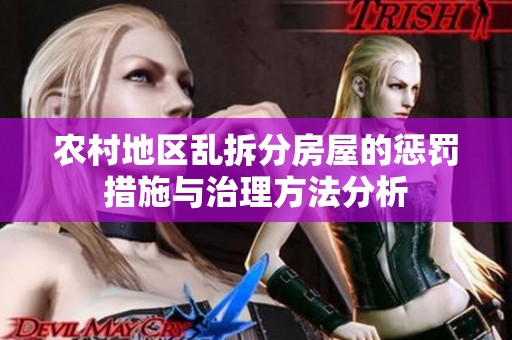 农村地区乱拆分房屋的惩罚措施与治理方法分析