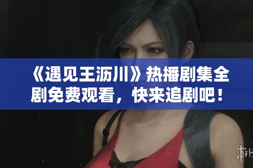 《遇见王沥川》热播剧集全剧免费观看，快来追剧吧！