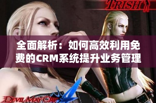 全面解析：如何高效利用免费的CRM系统提升业务管理效果