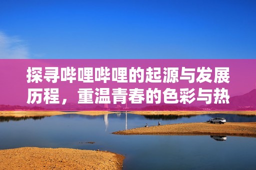 探寻哔哩哔哩的起源与发展历程，重温青春的色彩与热血