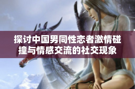 探讨中国男同性恋者激情碰撞与情感交流的社交现象