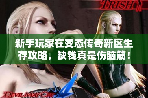 新手玩家在变态传奇新区生存攻略，缺钱真是伤脑筋！