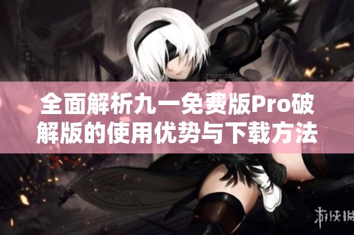 全面解析九一免费版Pro破解版的使用优势与下载方法