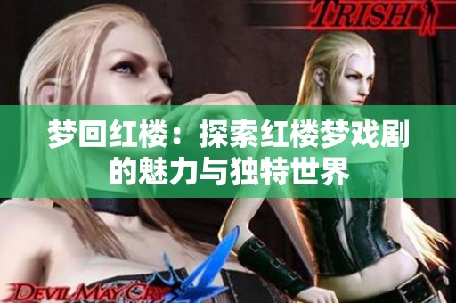 梦回红楼：探索红楼梦戏剧的魅力与独特世界