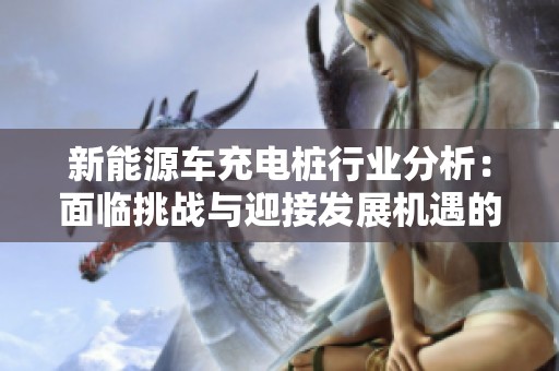 新能源车充电桩行业分析：面临挑战与迎接发展机遇的双重考验