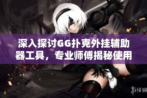 深入探讨GG扑克外挂辅助器工具，专业师傅揭秘使用技巧与注意事项