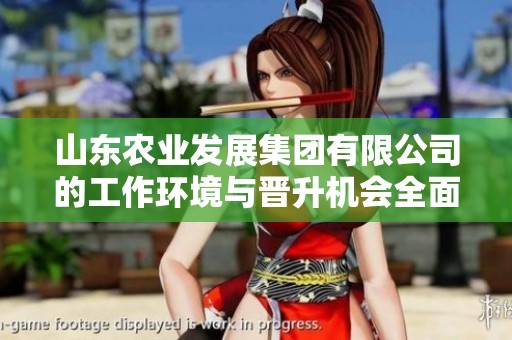 山东农业发展集团有限公司的工作环境与晋升机会全面解析