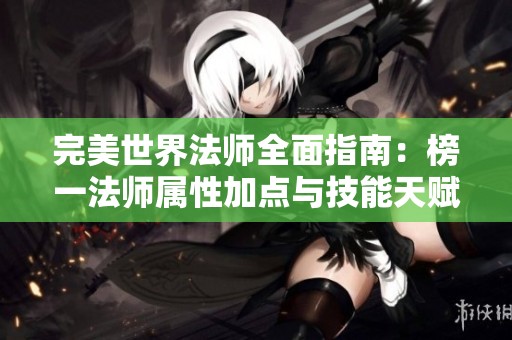 完美世界法师全面指南：榜一法师属性加点与技能天赋详解