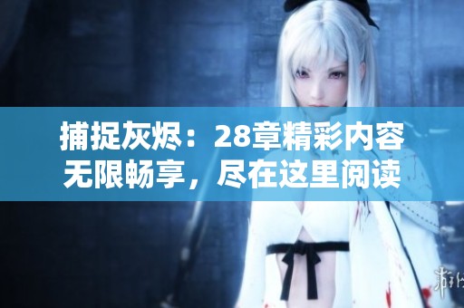 捕捉灰烬：28章精彩内容无限畅享，尽在这里阅读