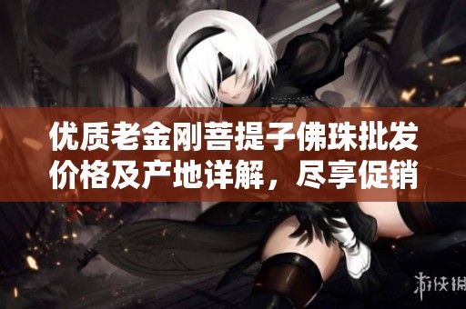 优质老金刚菩提子佛珠批发价格及产地详解，尽享促销福利