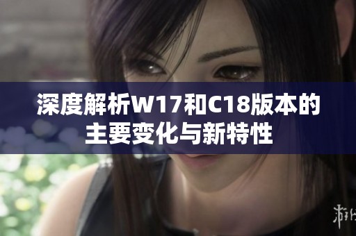 深度解析W17和C18版本的主要变化与新特性