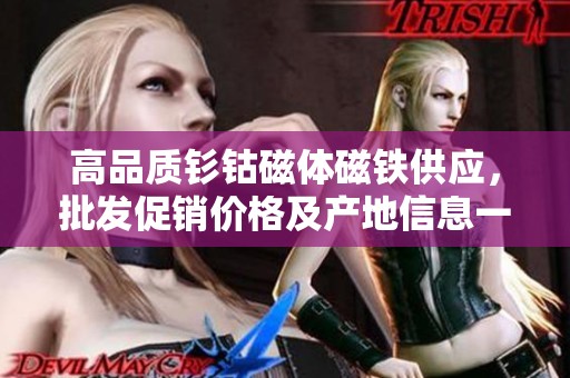 高品质钐钴磁体磁铁供应，批发促销价格及产地信息一览