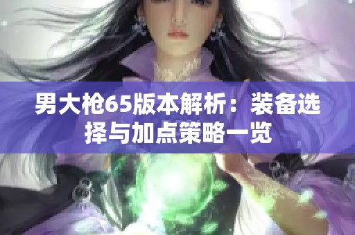 男大枪65版本解析：装备选择与加点策略一览