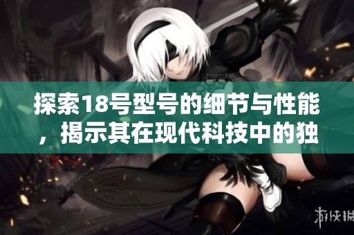 探索18号型号的细节与性能，揭示其在现代科技中的独特优势与应用潜力