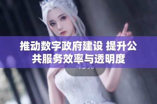 推动数字政府建设 提升公共服务效率与透明度