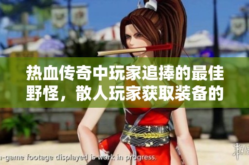 热血传奇中玩家追捧的最佳野怪，散人玩家获取装备的首选之地
