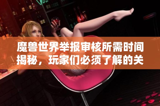 魔兽世界举报审核所需时间揭秘，玩家们必须了解的关键信息