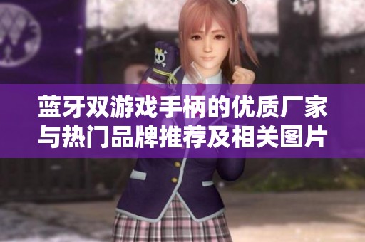 蓝牙双游戏手柄的优质厂家与热门品牌推荐及相关图片分享