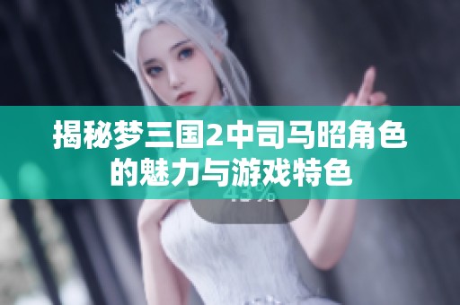 揭秘梦三国2中司马昭角色的魅力与游戏特色