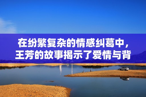 在纷繁复杂的情感纠葛中，王芳的故事揭示了爱情与背叛的真相