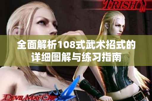 全面解析108式武术招式的详细图解与练习指南