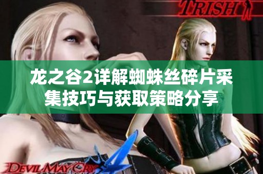 龙之谷2详解蜘蛛丝碎片采集技巧与获取策略分享