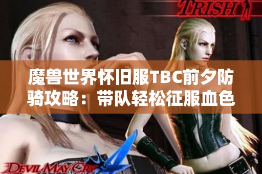魔兽世界怀旧服TBC前夕防骑攻略：带队轻松征服血色经典副本技巧解析