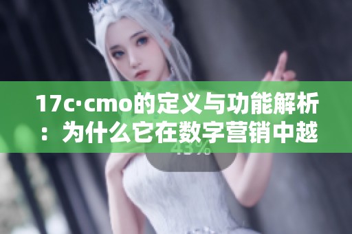 17c·cmo的定义与功能解析：为什么它在数字营销中越来越重要