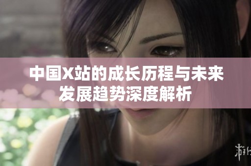 中国X站的成长历程与未来发展趋势深度解析