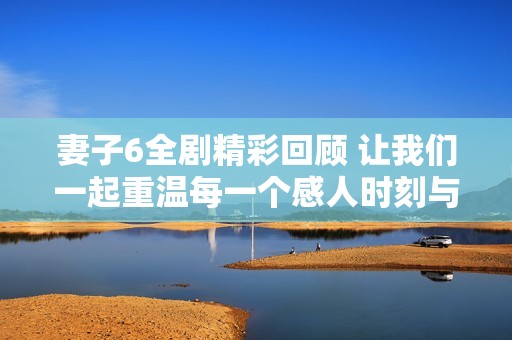 妻子6全剧精彩回顾 让我们一起重温每一个感人时刻与剧情发展