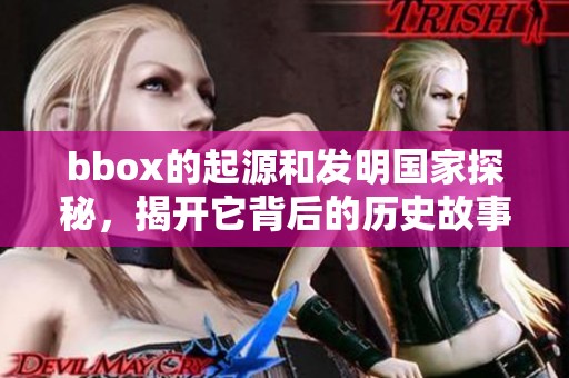 bbox的起源和发明国家探秘，揭开它背后的历史故事