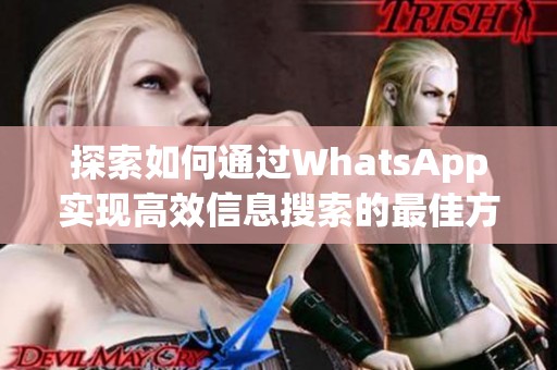 探索如何通过WhatsApp实现高效信息搜索的最佳方法