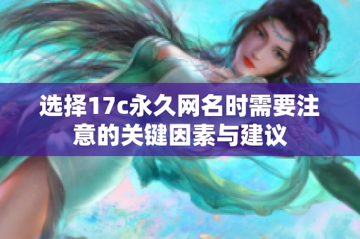 选择17c永久网名时需要注意的关键因素与建议