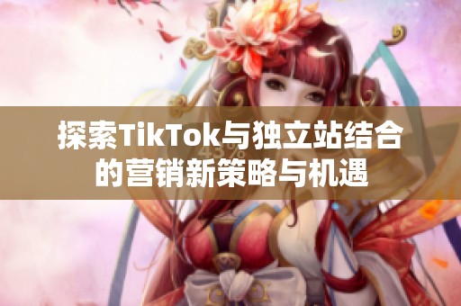 探索TikTok与独立站结合的营销新策略与机遇