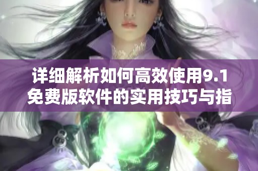 详细解析如何高效使用9.1免费版软件的实用技巧与指南