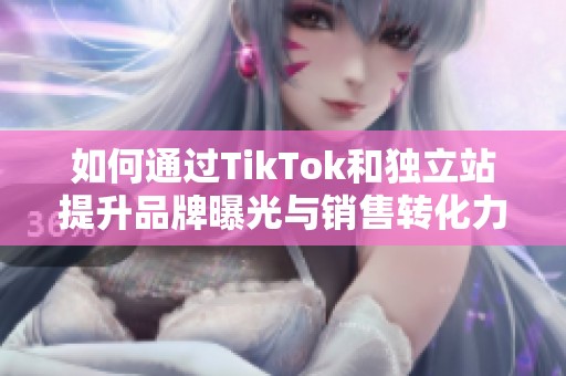 如何通过TikTok和独立站提升品牌曝光与销售转化力
