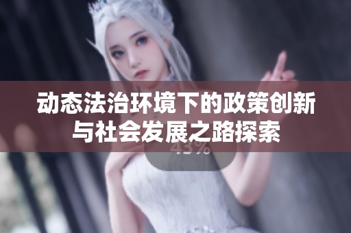 动态法治环境下的政策创新与社会发展之路探索