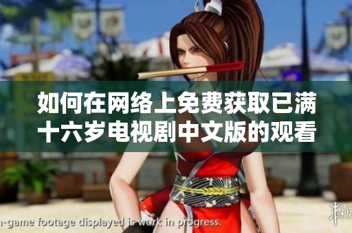 如何在网络上免费获取已满十六岁电视剧中文版的观看方式分享