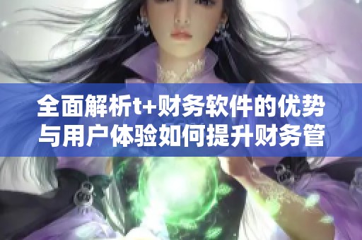 全面解析t+财务软件的优势与用户体验如何提升财务管理效率